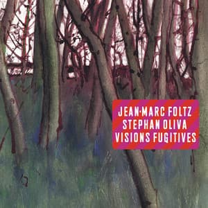 Visions fugitives - Jean-Marc Foltz