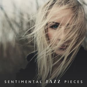 Sentimental Jazz Pieces. Music for a Quiet Evening, Relax at Home, Time for Reflections - Sentimental Piano Music Oasis