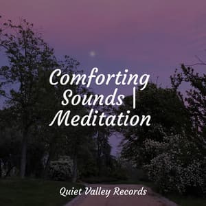Comforting Sounds | Meditation - Relaxed Minds