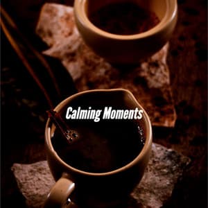 Calming Moments - Música para Tiendas Musica De Fondo