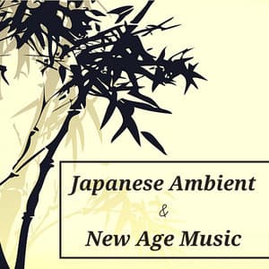 Japanese Ambient & New Age Music - 80's Synth, Relaxing Music - Japanese Traditional Music Ensemble