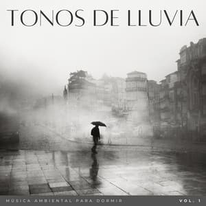 Tonos De Lluvia: Música Ambiental Para Dormir Vol. 1 - Sonido de lluvia para dormir