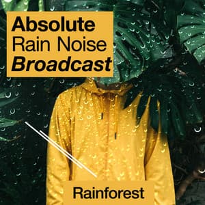 Absolute Rain Noise Broadcast - Rainforest