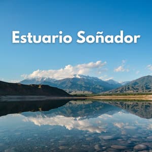 Estuario Soñador - Sonidos de agua para dormir