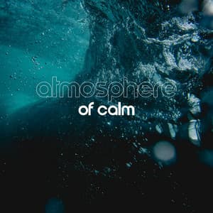Atmosphere of Calm: Natural Sounds of Water and Animals, Deep Relaxation with Nature - Rain Music!