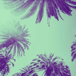 Piano Bossa Duo - Ambiance for Retro Drives - Jazz for Study