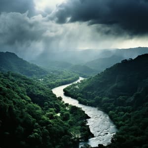 Música De Ritmos Lluviosos: Un Regalo Melódico De La Naturaleza - Biblioteca XLE de sonidos de la naturaleza