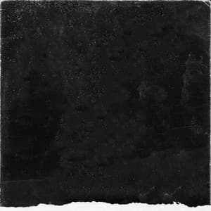 Bach - Concertos & French Suites II - Christopher Hogwood