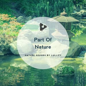 Part Of Nature - Nature Sounds by Lullify