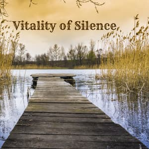 Vitality of Silence - Path of Awakening, Self Acceptance, Spiritual Progress, Sense Protection - Relaxační Zvuky