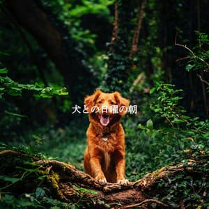 犬との日曜の朝 - Restaurante Jazz Clásicos