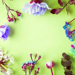 High-class Music for Cinematic Melody - Piano Bossa Nova Duo - Jazz and Chill