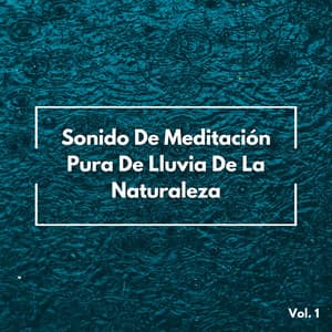 Sonido De Meditación Pura De Lluvia De La Naturaleza Vol. 1 - Sonidos de lluvia ASMR