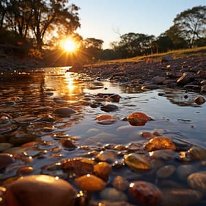 Reposo A Orillas Del Río: Sereno Escape De La Relajación - Sonidos orgánicos de la naturaleza