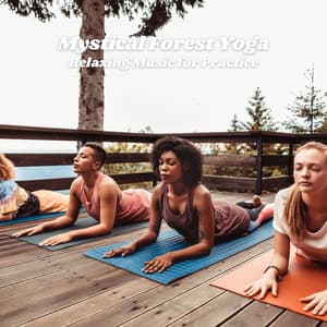 Mystical Forest Yoga: Relaxing Music for Practice - John N4ture