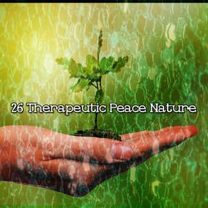 26 Therapeutic Peace Nature - Nature Sounds - Sons de la nature