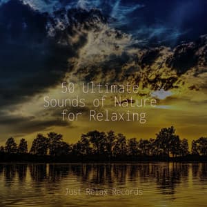 50 Ultimate Sounds of Nature for Relaxing - Binaural Beats Brainwave Entrainment