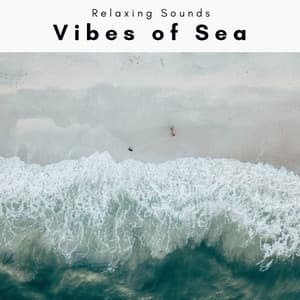 2022 Vibes of Sea - Seashore Waves