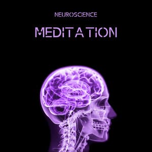 Neuroscience Meditation: Brain Activation, Mindfulness Training, Present-Moment Awareness - Brain Waves Music Academy
