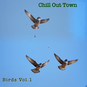 Birds Vol.1 - Chill Out Town