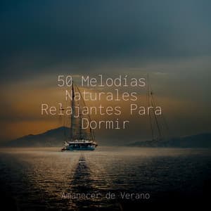50 Melodías Naturales Relajantes Para Dormir - Dulces Sueños