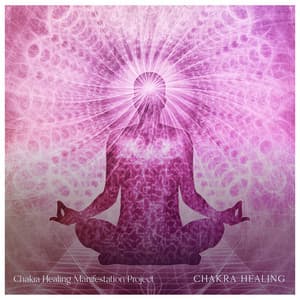 Chakra Healing - Chakra Healing Manifestation Project