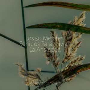 Los 50 Mejores Sonidos Para Aliviar La Ansiedad - Masajes Spas