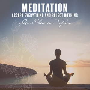 Meditation: Accept Everything and Reject Nothing - Ren Shinrin-Yoku