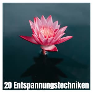 20 Entspannungstechniken - Musik zur Verringerung körperlicher und geistiger Anspannung - Schlafen Akademie
