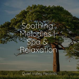 Soothing Melodies | Spa & Relaxation - Thunder Storm