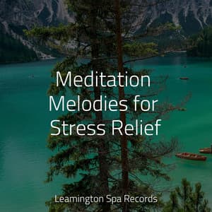Meditation Melodies for Stress Relief - Meditative Music Guru