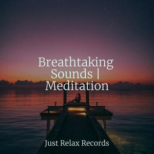 Breathtaking Sounds | Meditation - Kinderliederbande
