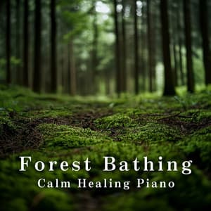 Forest Bathing: Calm Healing Piano - Relaxing BGM Project