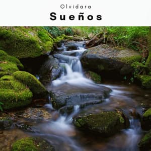 A h o r a: Sueños - Olvidara