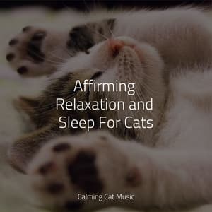 Affirming Relaxation and Sleep For Cats - Cat Music Experience