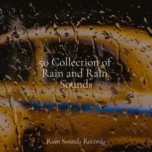 50 Collection of Rain and Rain Sounds - Rain For Deep Sleep