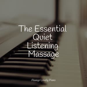 50 Comforting Harmonies - Study Music And Piano Music