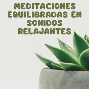 Meditaciones Equilibradas En Sonidos Relajantes - Tranquilidad Piano