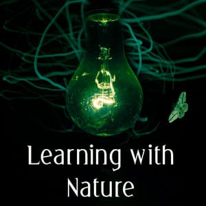 Learning with Nature – Study Music with Nature Sounds, Learn By Hearth, Increase Memory, Better Memory, Focus on Task, Nature Sounds for Learning, Relaxation - Study Piano Music Ensemble