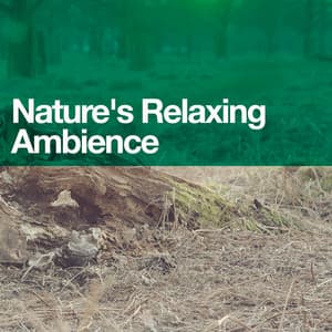 Nature's Relaxing Ambience - Ambiance nature