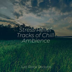 Stress Relief Tracks of Chill Ambience - Forest Sounds