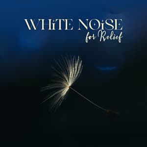 White Noise for Relief - Motivation Songs Academy