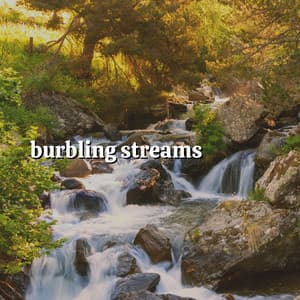 Burbling Streams - Mother Nature Soundscapes
