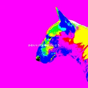 かわいい犬と幸せでいよう - Summer Chilling Jazz