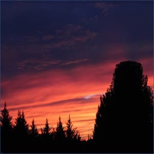 Wind Chimes - Canciones De Cuna