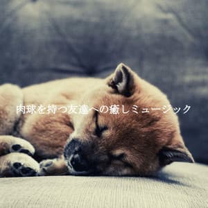 肉球を持つ友達への癒しミュージック - Brunch Jazz Playlist