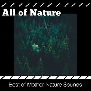 All of Nature - Best of Mother Nature Sounds