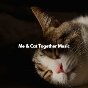Me & Cat Together Music - Música Suave para Cafés