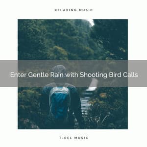 1 Enter Gentle Rain with Shooting Bird Calls - Deep Rain Sampling