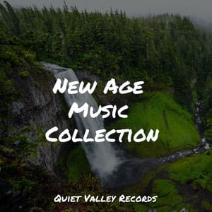 New Age Music Collection - Namaste Healing Yoga